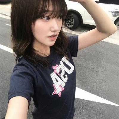 チェックスターUSA半袖Tシャツ