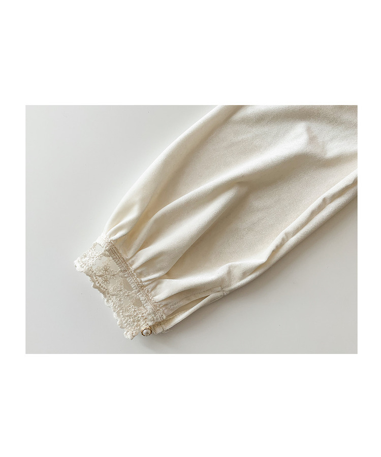 レースベルベットブラウス