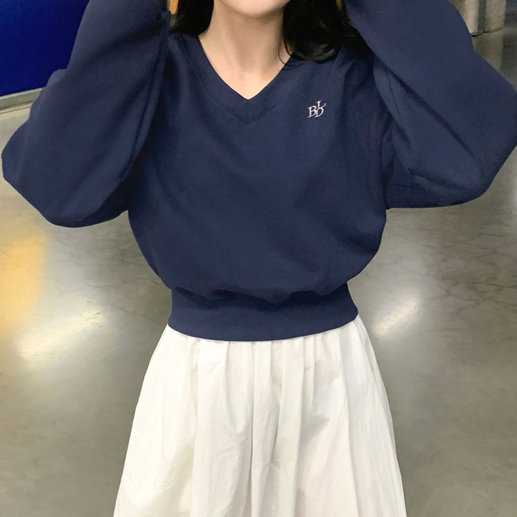 BLD刺繍Vネッククロップトレーナー5色｜スウェット｜韓国ファッション
