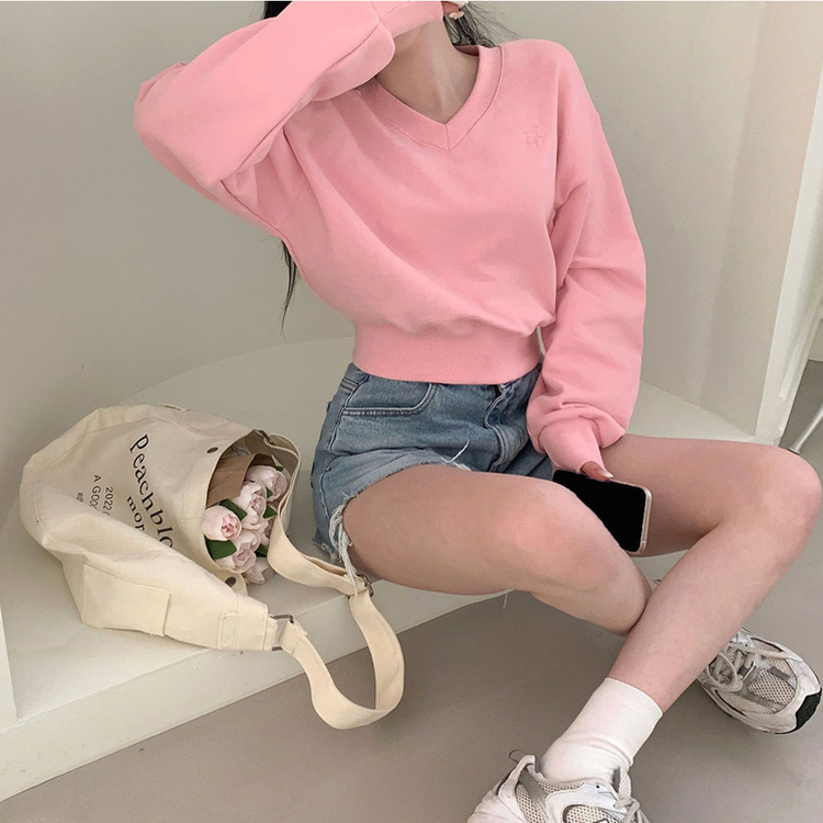 STS30279 BLD刺繍Vネッククロップトレーナー5色 スウェット