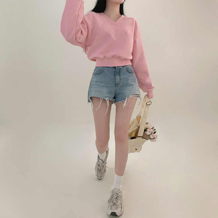 STS30279 BLD刺繍Vネッククロップトレーナー5色 スウェット