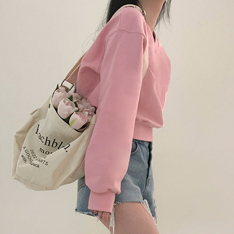 STS30279 BLD刺繍Vネッククロップトレーナー5色 スウェット