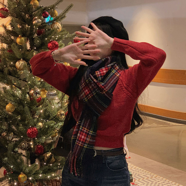 ラグランクロップラウンドニット5色 レッド