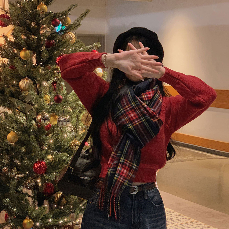 ラグランクロップラウンドニット5色 レッド