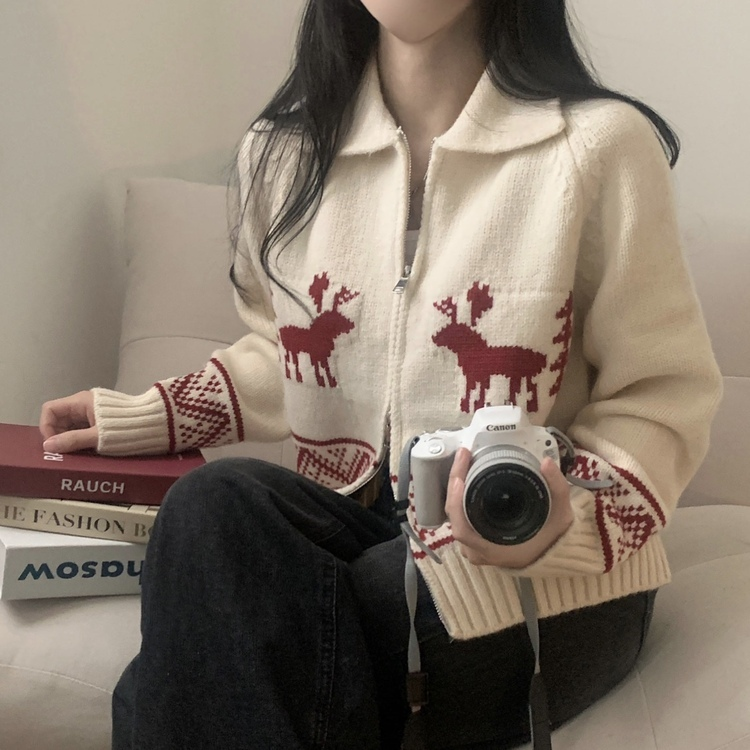 カーディガン 古着 NOILL knit – NOILL