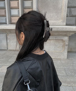 SAC4183 シルバーヘアクリップ ヘアアクセサリー - anyonemore