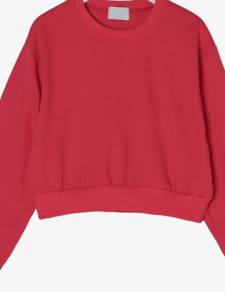 (18컬러) 모먼트 세미크롭 긴팔티 맨투맨