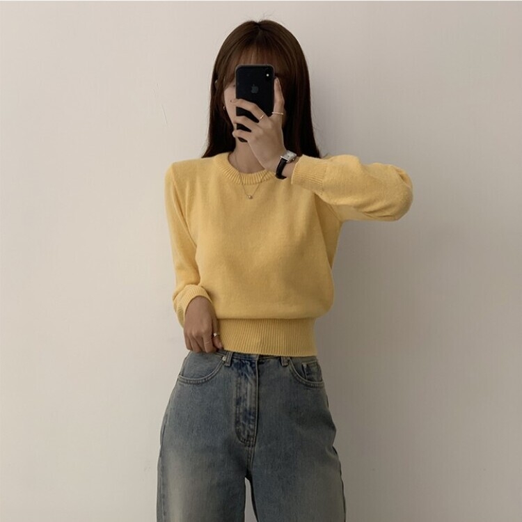 파스텔 가을 겨울 긴팔 라운드 무지 베이직 니트 옐로우