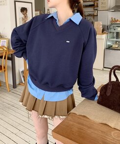 The Southern LAP Vネックスウェット L The Southern LAP Vネックスウェット L - メルカリ