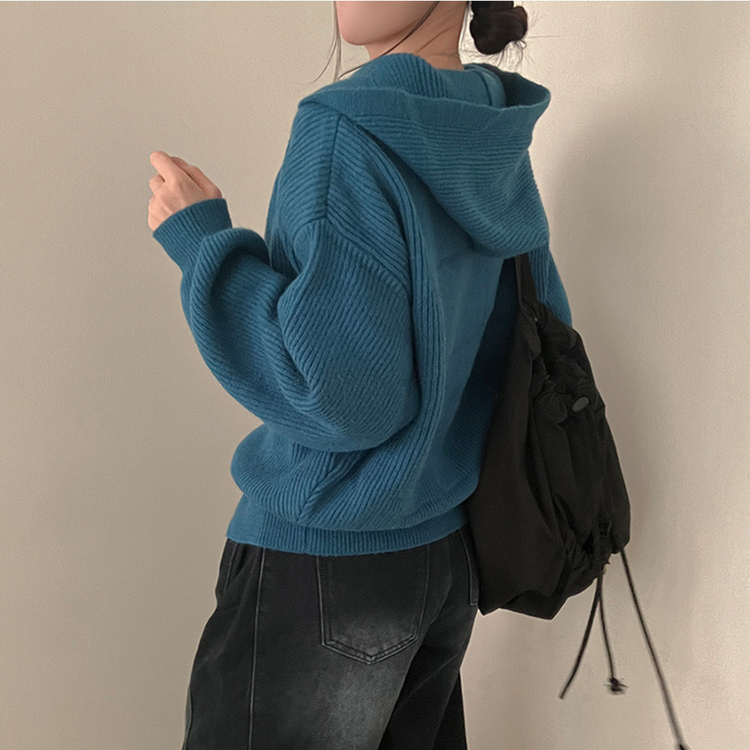 디뉴트 아방소매 투웨이 니트 후드 집업 블루