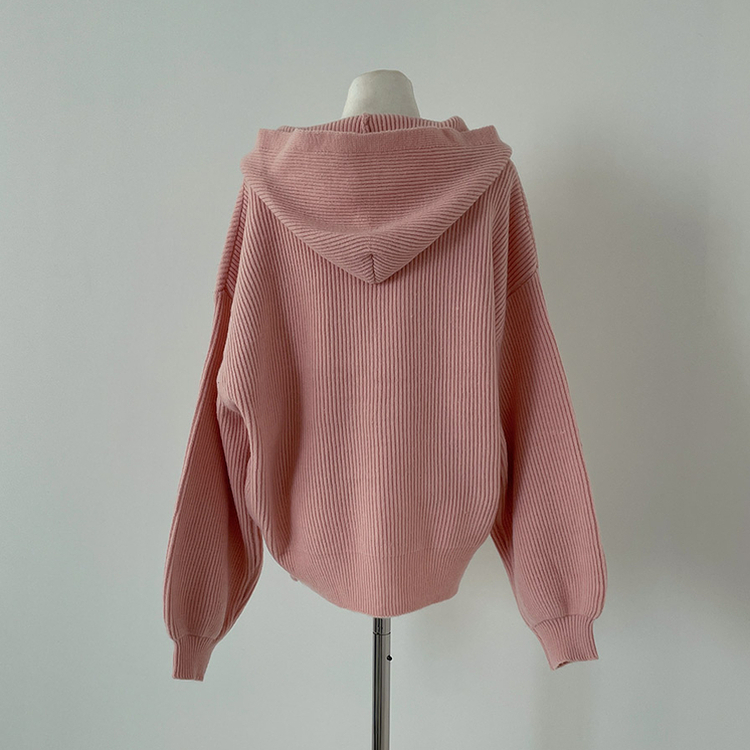 디뉴트 아방소매 투웨이 니트 후드 집업