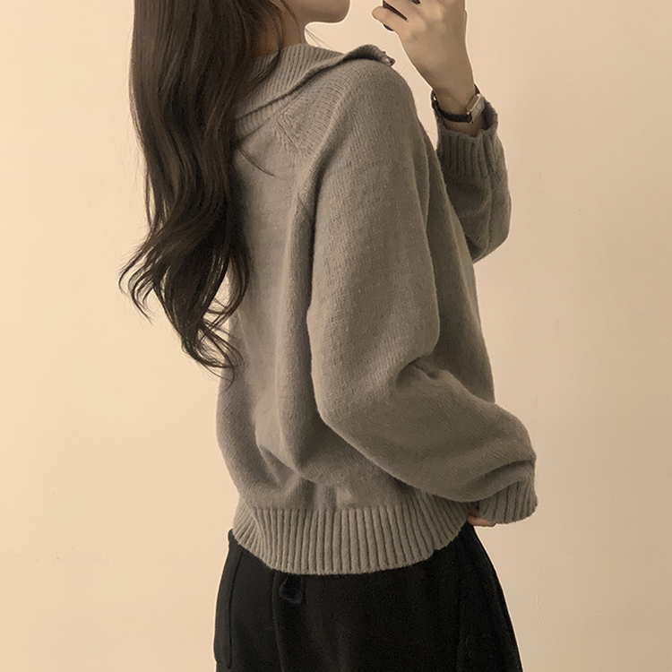 새콤달콤 겨울 카라 반집업 세미 크롭 오버핏 긴팔 폴라 캐주얼 기본 니트 4color 그레이