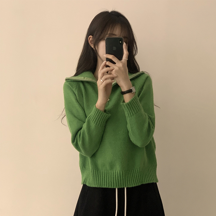 새콤달콤 겨울 카라 반집업 세미 크롭 오버핏 긴팔 폴라 캐주얼 기본 니트 4color 그린