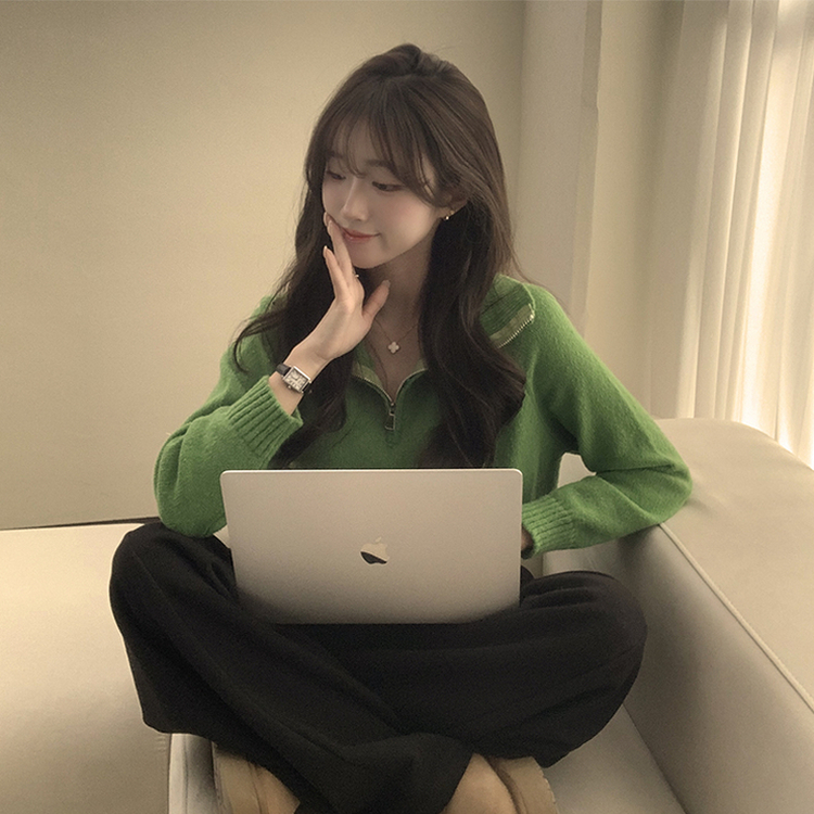 새콤달콤 겨울 카라 반집업 세미 크롭 오버핏 긴팔 폴라 캐주얼 기본 니트 4color 그린