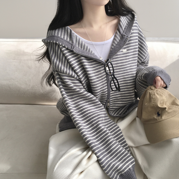 ワッペンポイントストライプフードジップアップ DEEP GRAY