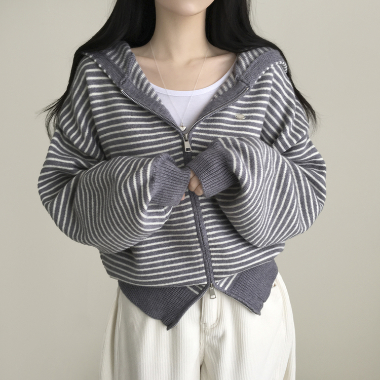 ワッペンポイントストライプフードジップアップ DEEP GRAY