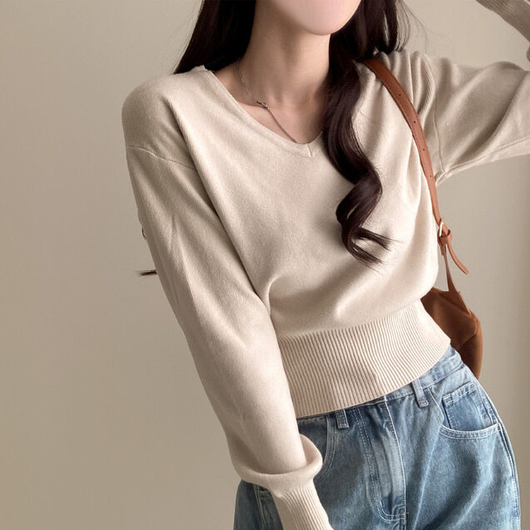 ベーシックVネックニット BEIGE