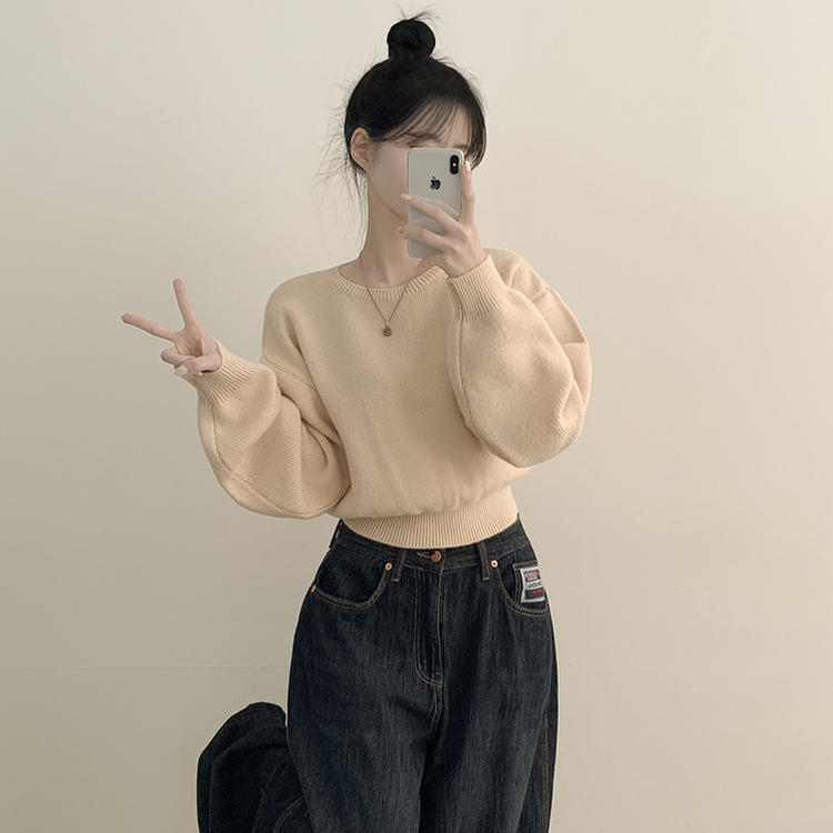 ラウンドオーバークロップニット(6color) LIGHT BEIGE