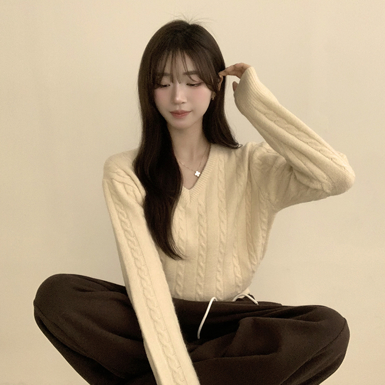 Vネック長袖ケーブルセミクロップニット(5color) IVORY