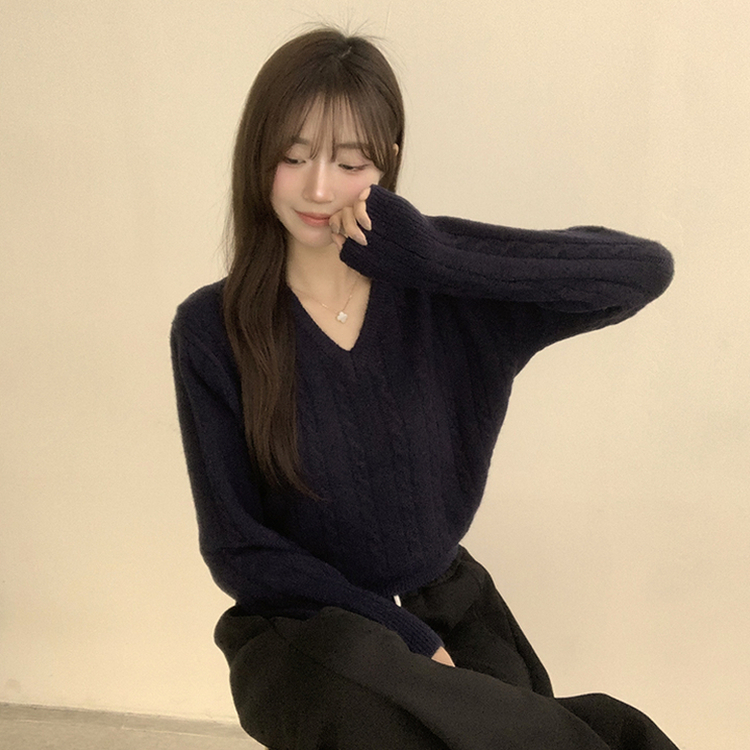 Vネック長袖ケーブルセミクロップニット(5color) NAVY