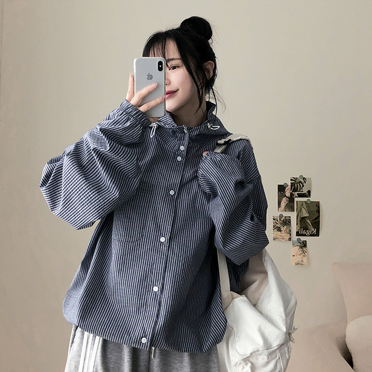 ストライプハイネックフードジャケット NAVY