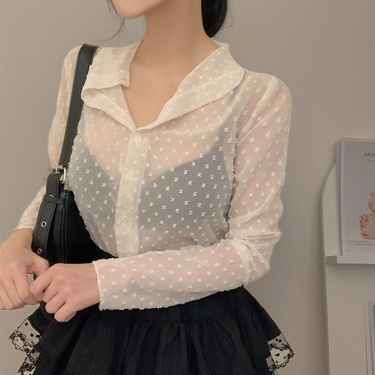 シースルードットブラウス IVORY