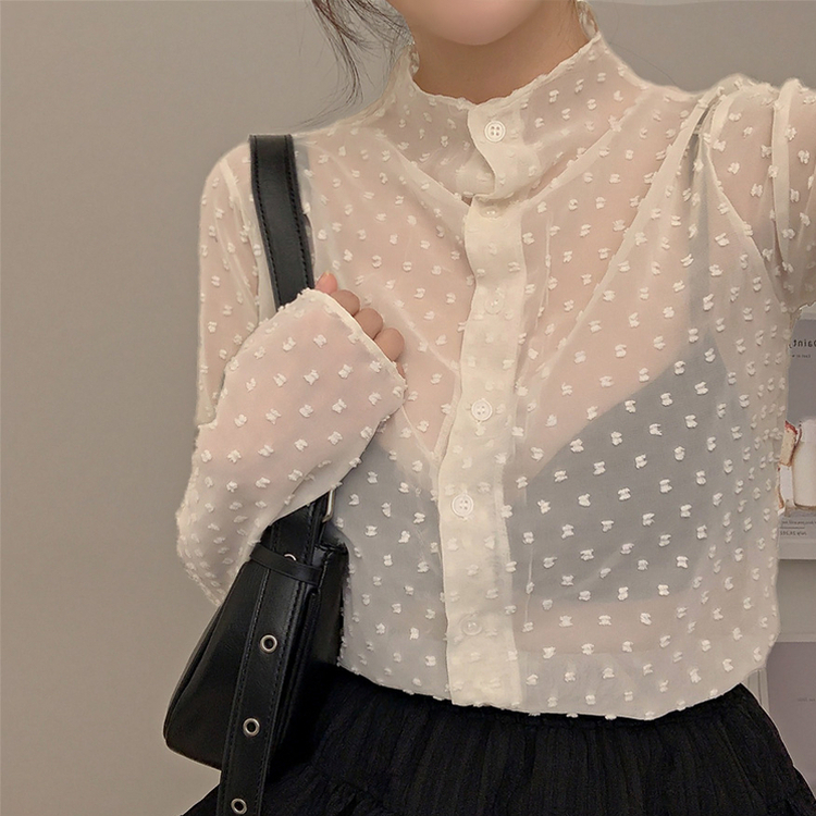 シースルードットブラウス IVORY