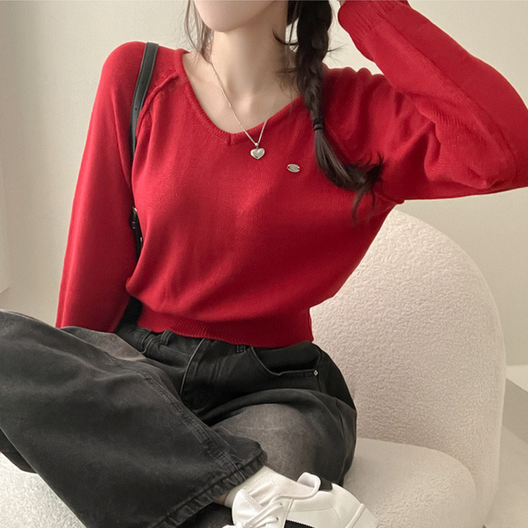 RUYSSELNO CIDAM（ラッセルノ）Vネックニット　セーター　サイズ6 ニット セーター Vネック・ラウンドネックハイゲージ六分袖ニット