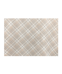 チェックシフォンミニスカート