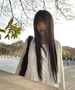 カーディガン スプリングクロップカーディガン IVORY