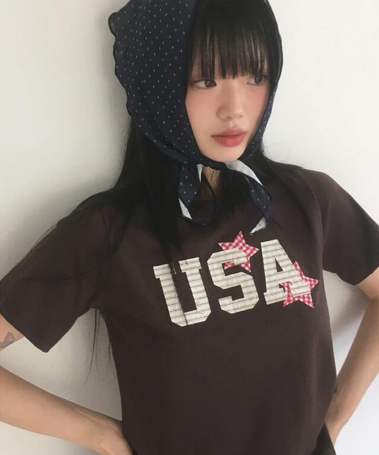 USAビンテージワッペン半袖Tシャツ CHESTNUT BROWN