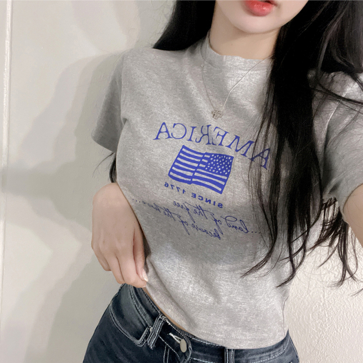 ディーシー半袖クロップTシャツ GRAY