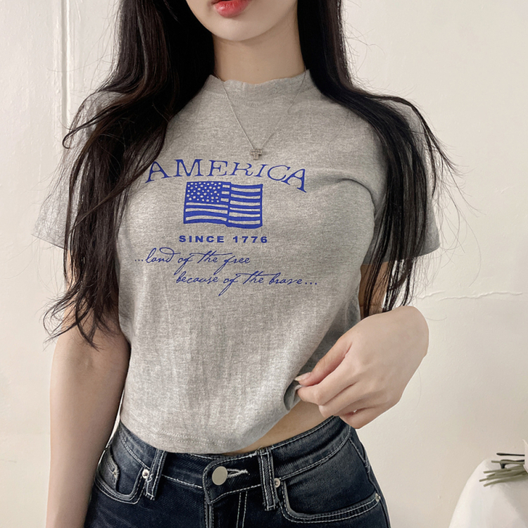 ディーシー半袖クロップTシャツ GRAY