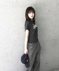 半袖Tシャツ ストライプスターセミクロップ半袖Tシャツ CHARCOAL