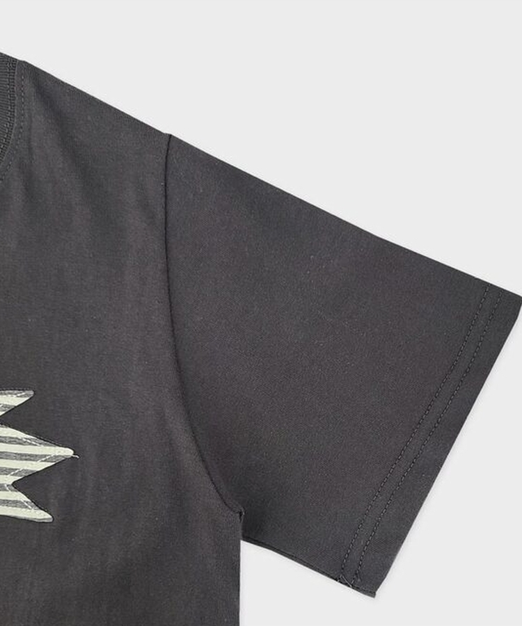 半袖Tシャツ ストライプスターセミクロップ半袖Tシャツ