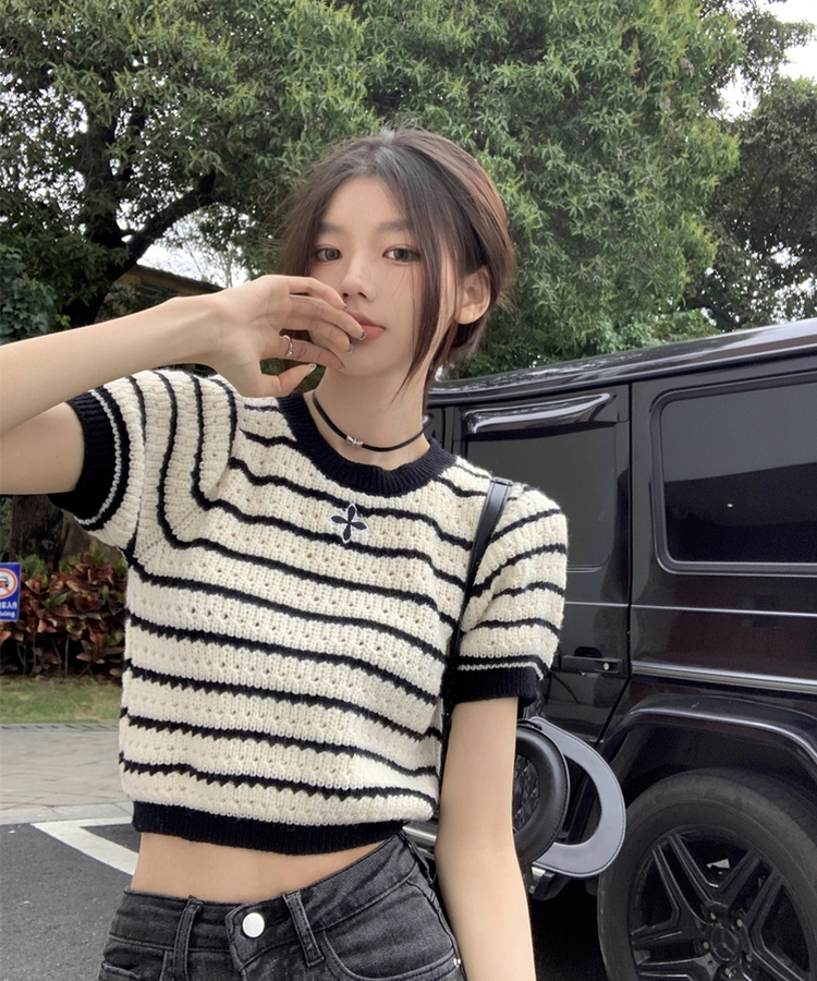 ストライプ半袖Tニット BLACK
