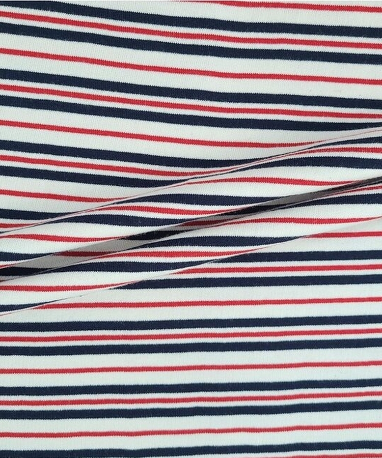 ストライプバイカラー半袖Tシャツ