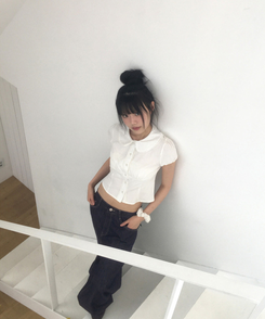 ブラウス レースラウンド半袖ブラウス WHITE