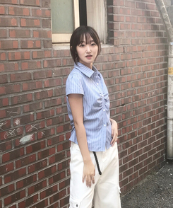 シャーリングセミクロップブラウス(5color) STRIPE BLUE