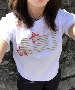半袖Tシャツ チェックスターUSA半袖Tシャツ WHITE