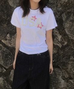 半袖Tシャツ チェックスターUSA半袖Tシャツ WHITE