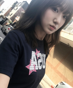 半袖Tシャツ チェックスターUSA半袖Tシャツ NAVY