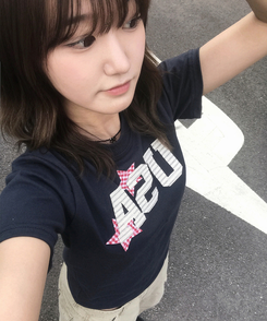半袖Tシャツ チェックスターUSA半袖Tシャツ NAVY