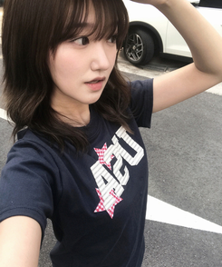 半袖Tシャツ チェックスターUSA半袖Tシャツ NAVY