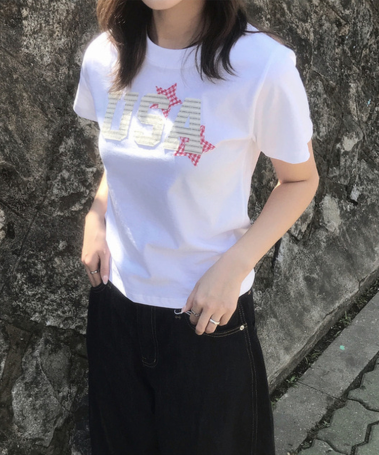 半袖Tシャツ チェックスターUSA半袖Tシャツ WHITE