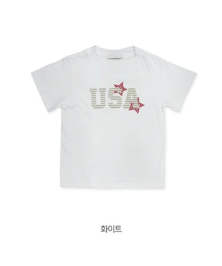 チェックスターUSA半袖Tシャツ