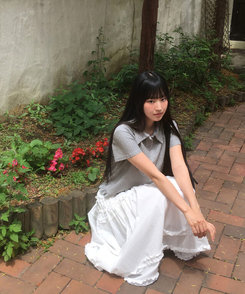 半袖Tシャツ ドットフリル半袖Tシャツ GREY