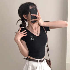 半袖Tシャツ 刺繍Vネッククロップ半袖Tシャツ BLACK