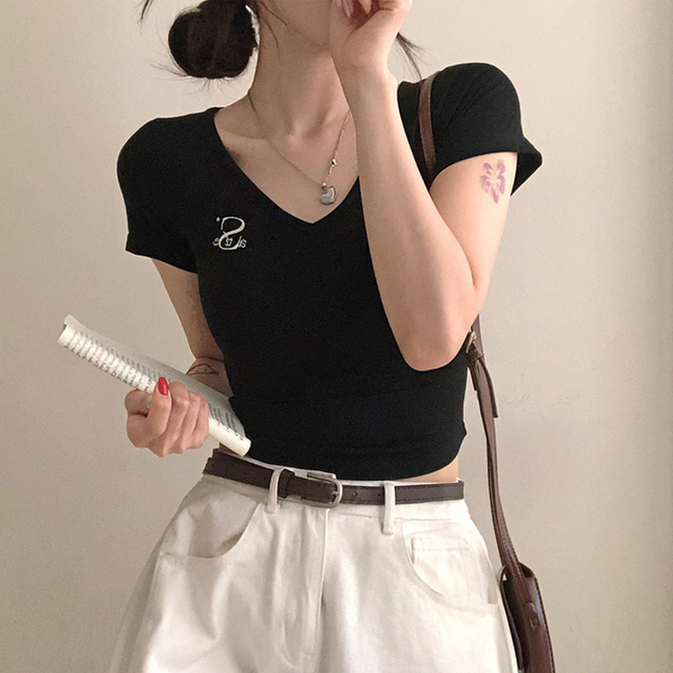 半袖Tシャツ 刺繍Vネッククロップ半袖Tシャツ BLACK