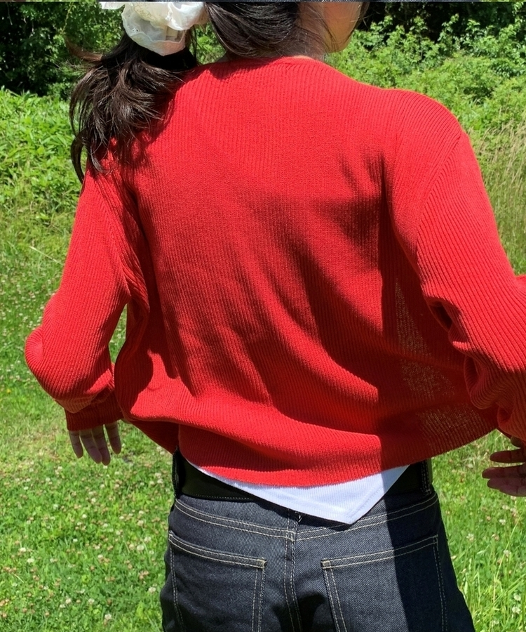 シースルースリムカーディガン(6color) RED